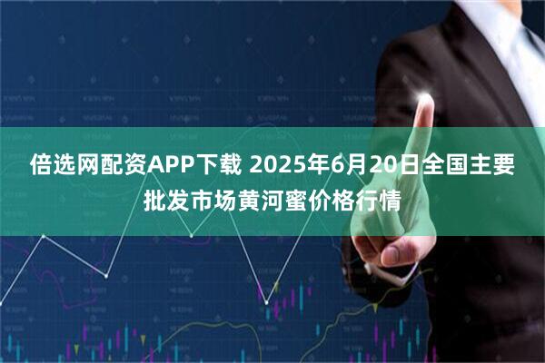 倍选网配资APP下载 2025年6月20日全国主要批发市场黄河蜜价格行情