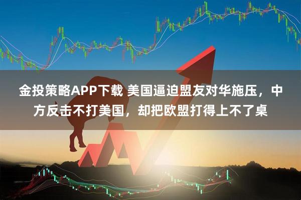 金投策略APP下载 美国逼迫盟友对华施压，中方反击不打美国，却把欧盟打得上不了桌