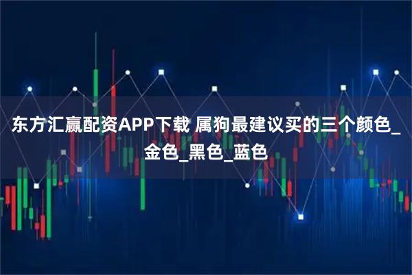 东方汇赢配资APP下载 属狗最建议买的三个颜色_金色_黑色_蓝色
